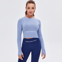New Autumn and Winter European and American Cross-border Seamless Yoga Wear Women's Long-sleeved Tight Running Sports Fitness Top 
