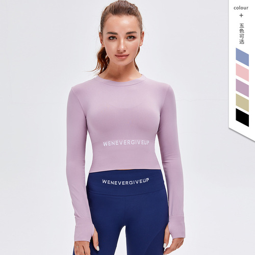New Autumn and Winter European and American Cross-border Seamless Yoga Wear Women's Long-sleeved Tight Running Sports Fitness Top 