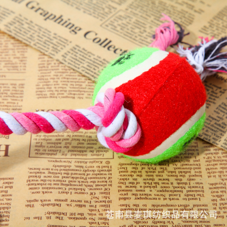 Fabricantes al por mayor juguetes para mascotas con tenis de algodón interactivo Teddy Corky juguetes para perros de molienda juguetes para perros