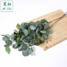 �Գ������ȼ����~��֧�Gֲ�O���~���W�Ҿ��bS�����l�����ȼ���