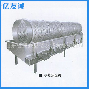 厂家供应不锈钢草莓生产线  新款草莓生产线