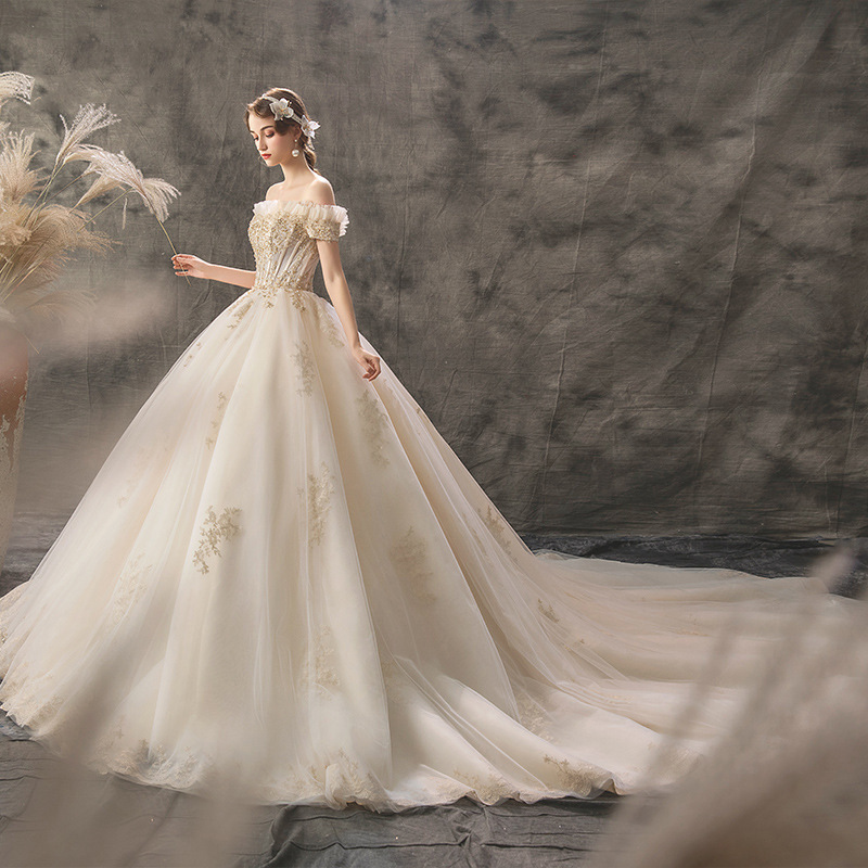 Vestido de Novia de Un Solo Hombro, Estilo Nupcial 2025 con Cola, Estilo Princesa de TikTok, Cielo Estrellado, Palacio, Bosque, Estilo Hepburn para Mujer