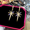 Silver needle, earrings, silver 925 sample, internet celebrity