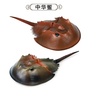 ���溣�����ģ�̓�ͯ������A�c�R��з�����c�~�o�B���z�[�����k