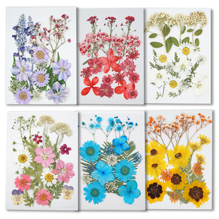 Real Dried Flower Empress Flower Internet Celebrity Sticker Face Decoration Eye Corner Sticker Petal Makeup Bridal Makeup Pet Flower Girl Portrait Plant Specimen