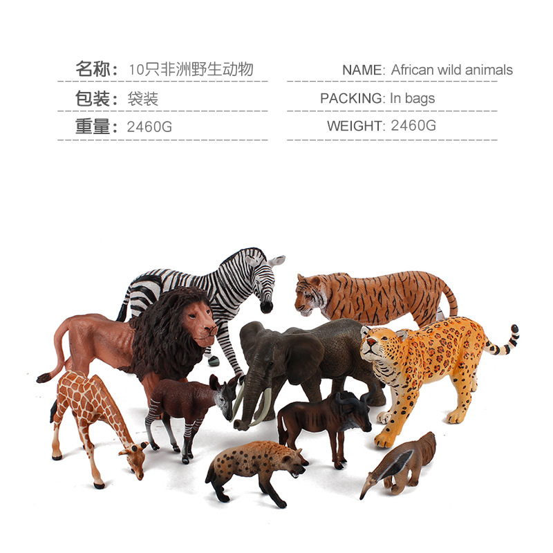 animal model