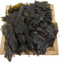 云南毛冬青2025年新茶散装老叶茶特产大叶苦丁茶现货花茶批发