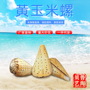 ����ؐ�����ݹ�ˇƷ�ֹ��S��������������ؐ���Ҿ��b�Ʒ�ؔ�