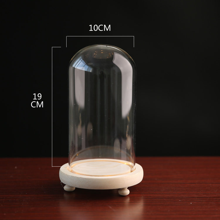 Fábrica de luz LED flor eterna cubierta de vidrio TikTok modelo de mano muñeca de cerámica suave cubierta de polvo base con luz