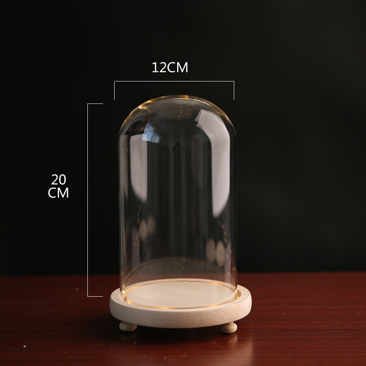 Fábrica de luz LED flor eterna cubierta de vidrio TikTok modelo de mano muñeca de cerámica suave cubierta de polvo base con luz