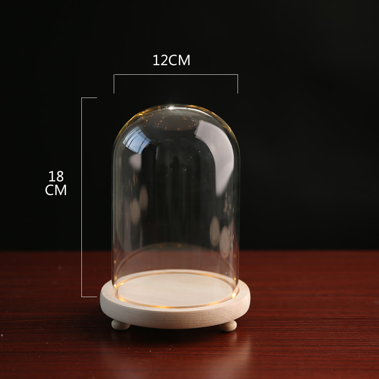 Fábrica de luz LED flor eterna cubierta de vidrio TikTok modelo de mano muñeca de cerámica suave cubierta de polvo base con luz