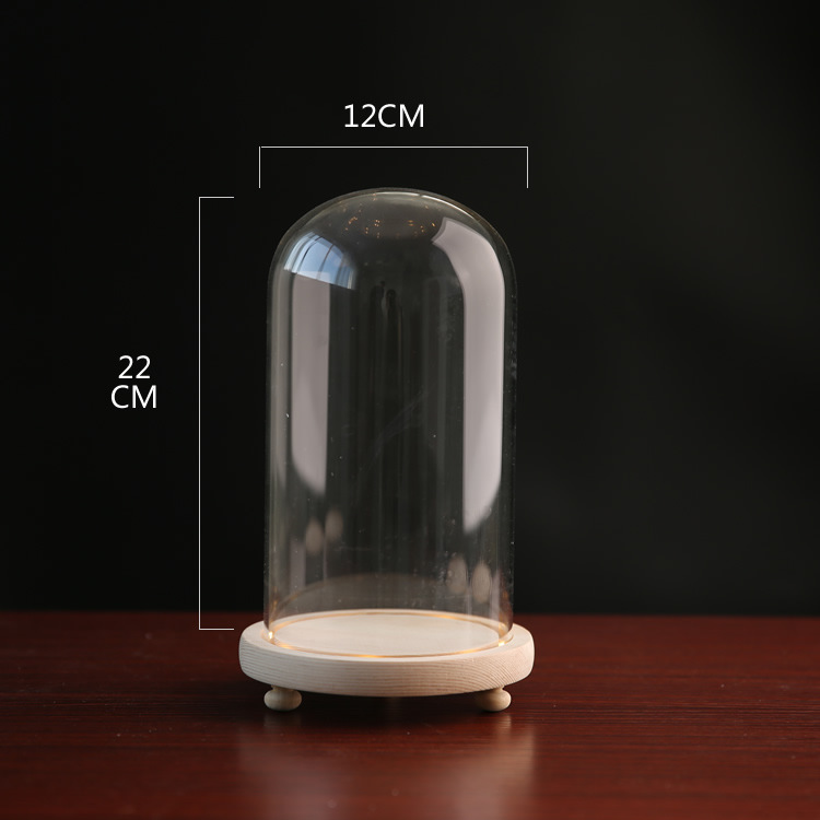 Fábrica de luz LED flor eterna cubierta de vidrio TikTok modelo de mano muñeca de cerámica suave cubierta de polvo base con luz