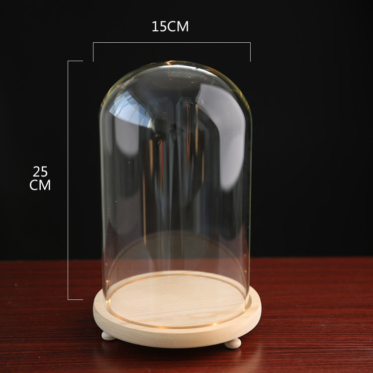 Fábrica de luz LED flor eterna cubierta de vidrio TikTok modelo de mano muñeca de cerámica suave cubierta de polvo base con luz