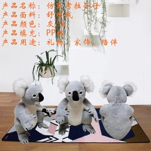 �������з���ë�q��߾W�t���ЏS�����Q�S���l�¿�2021����