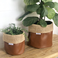 ���l�@ˇ��ˮ����Ƥ�ﻨ��� ���鲼����Ƥ�� ���s�Ҿӻ����ռ{��