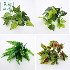 茉初シミュレーション緑植緑羅葉ペルシャ葉卸売り緑化景観草シミュレーション植物壁配材シミュレーション植物