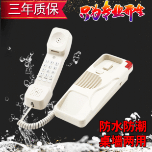 ԒSҹlgƵС֙C ҾƵԡҒԒC