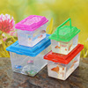 Small table handheld plastic aquarium, transport, pet, wholesale