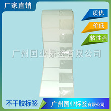 ɴӡ錚˺ N늾˺ TR˺ ϳɼƷ˺