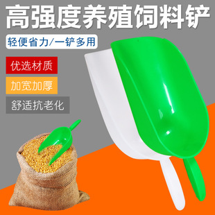 �u�i����ư �F������P�ӼӺ�Gɫ����P��ţ���ϼ����� �i���P