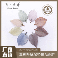 �S�����lDIY�Ʒ�����Ȼ���~�����~���~�~�朶��h�����Ʒ�羳