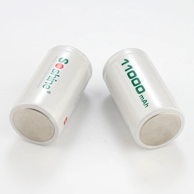 1 D-Type Battery 1.2V: Hibrid akkumulyator batareyaları