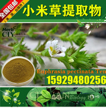 慈缘 小米草提取物 芒小米草浓缩粉 SC厂家 片剂胶囊原料 可造粒