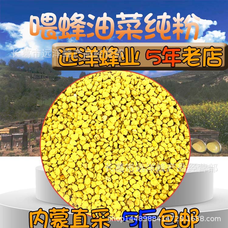 远洋蜂业 蜂场自产自销 油菜花粉 喂蜜蜂批发零售蜂蜜 一件代发