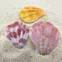 ��Ȼؐ������ؐƬ ���ݠ��N DIY΢���^�b� ˮ���̨�L����