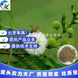 工地施工材料;其他园林资材;其他园林植物