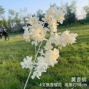 �S�����l4��חU�hѩ�ѻ� �u������Y�ò��û�c�ٻ�����÷
