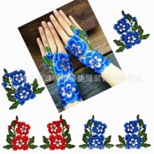 ��ɫˮ�ܴ������׶Ի�  �������廨 DIY����������� ��������