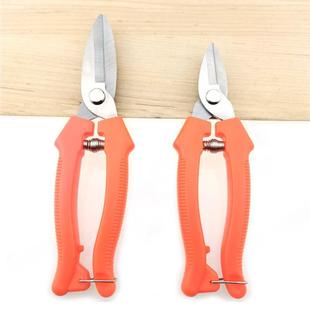 Stainless Steel Fruit Picking Shears Zanthoxylum Grape Thin Fruit Shears Pruning Shears Bud Tip Straight Picking Scissors