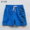 CA01 blue