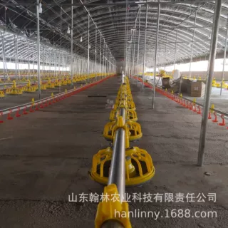 养鸡水线 平养自动饮水器 蛋鸡肉鸡水线料线 鸡用畜牧养殖业机械