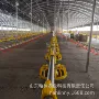 养鸡养殖业自动畜牧线料