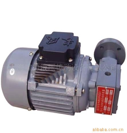 微型电机泵组*压力0.6，流量0.8~2.5 供选   啸力铸铁