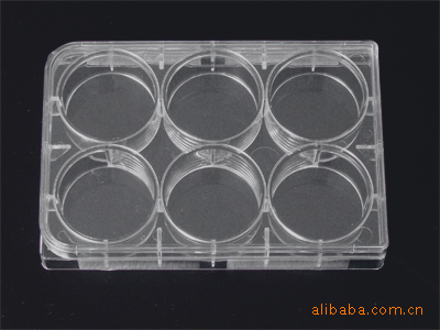 厂家直销 实验器材 6孔塑料 细胞 细菌 培养板