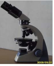 YJ-2005BP偏光显微镜，简易偏光显微镜，双目偏光显微镜 07/05