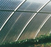 供应洛阳乌鲁木齐陕西山东河北青海新疆辽宁温室大棚PE双层农膜