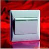 TCL legrand Switch socket An open control 10A250V Single-joint single control switch Promotion of