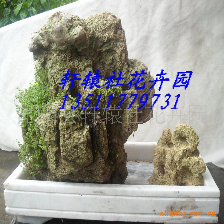 吸水石