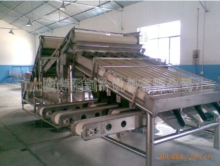 虾分选机,虾类清洗机,虾类分级清洗蒸煮冷却生产线