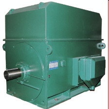 YMPS5601-6 800KW 6KV IP54磨煤机高压电机 封闭型高压电机