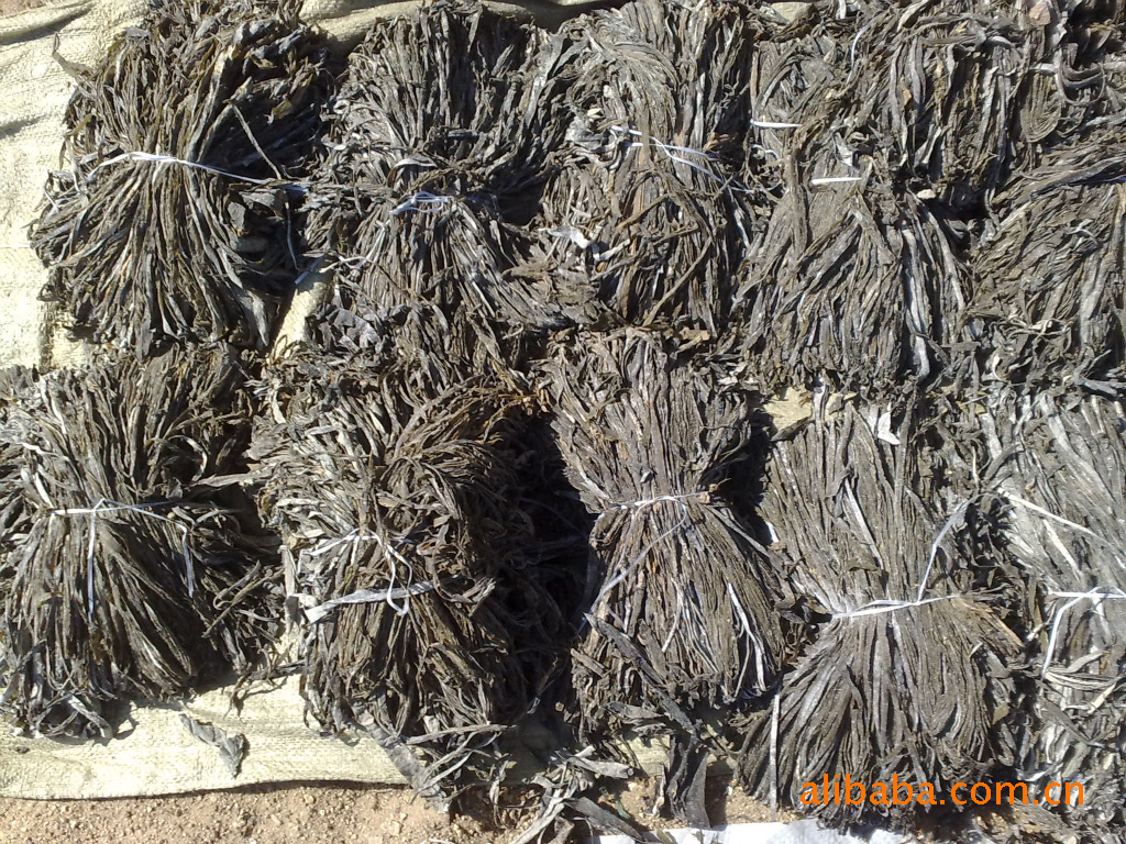 供应无沙干海带丝 加工长丝 质量好丝 干丝新货