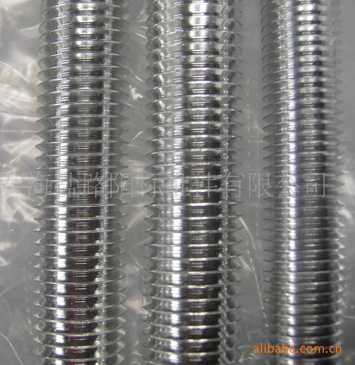 海盐路阳标准件 供应德标非标不锈钢螺杆不锈钢丝杆b7牙条