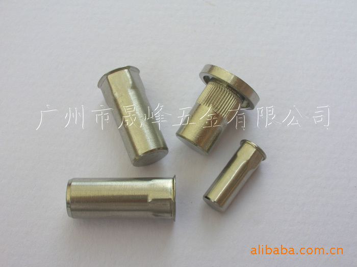 供应不锈钢小头半六角肓孔铆螺母