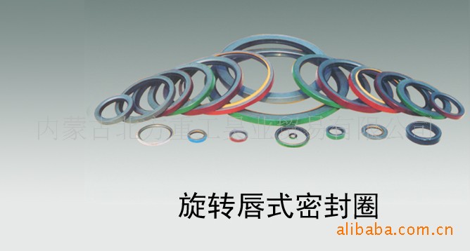 旋转唇式密封圈总成