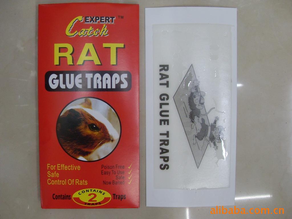 大量供应外贸粘鼠板 老鼠胶 蟑螂板 苍蝇纸板系列