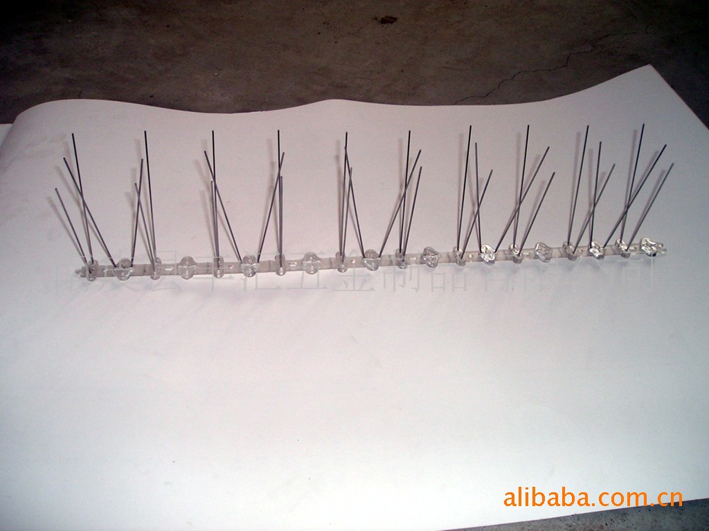 供应各种尺寸鸟刺(图) 塑料鸟刺   不锈钢鸟刺 建筑屋顶用